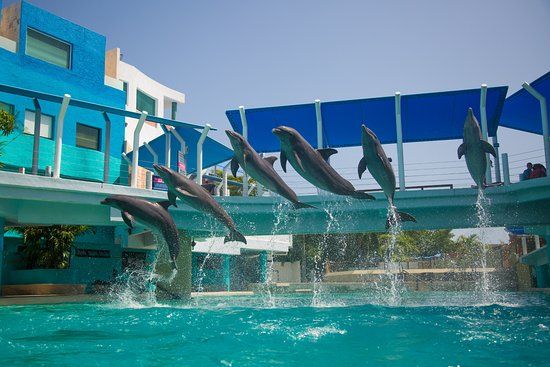 Parque Maya Cancún
